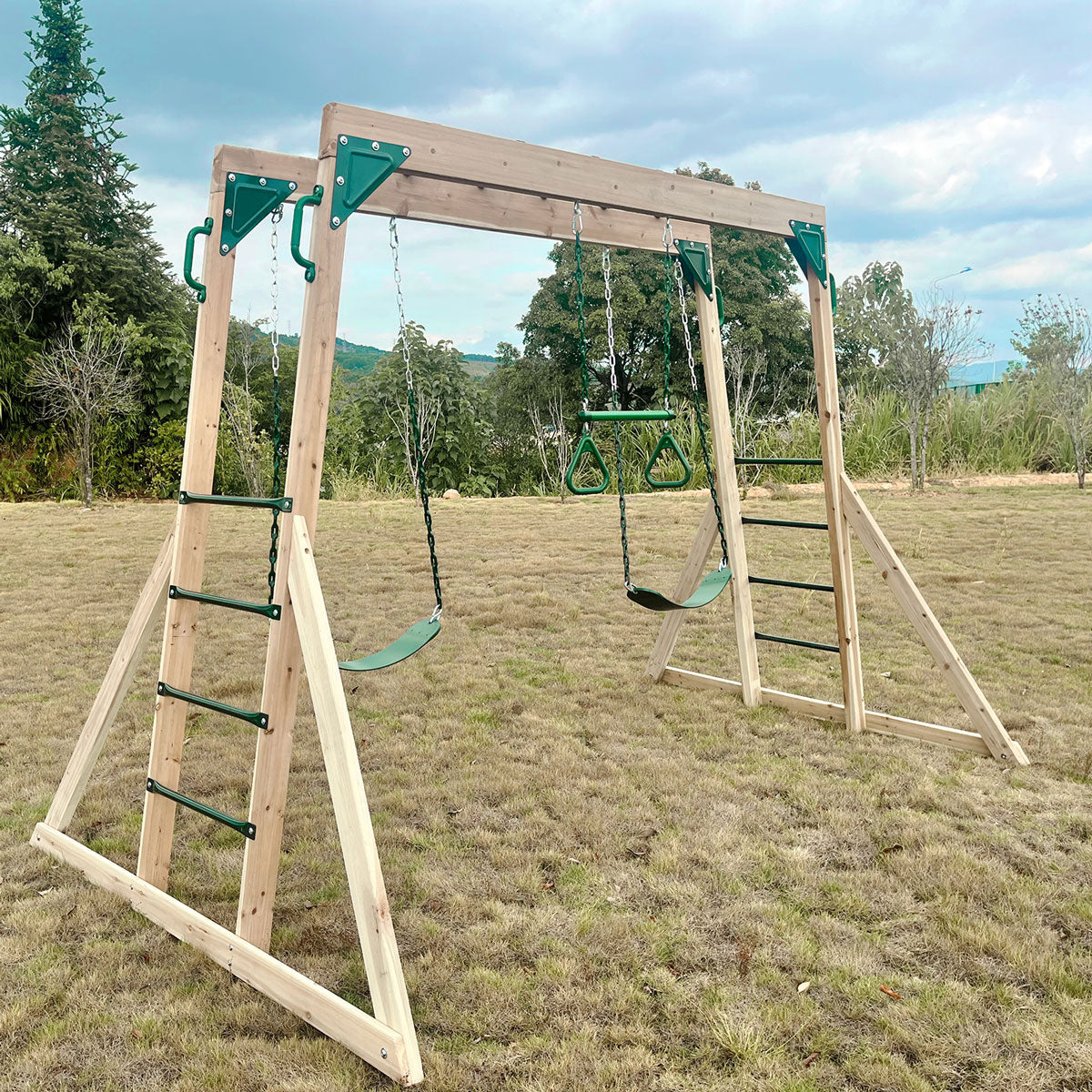 Lifespan Kids Daintree 2-in-1 Monkey Bars & Swing Set